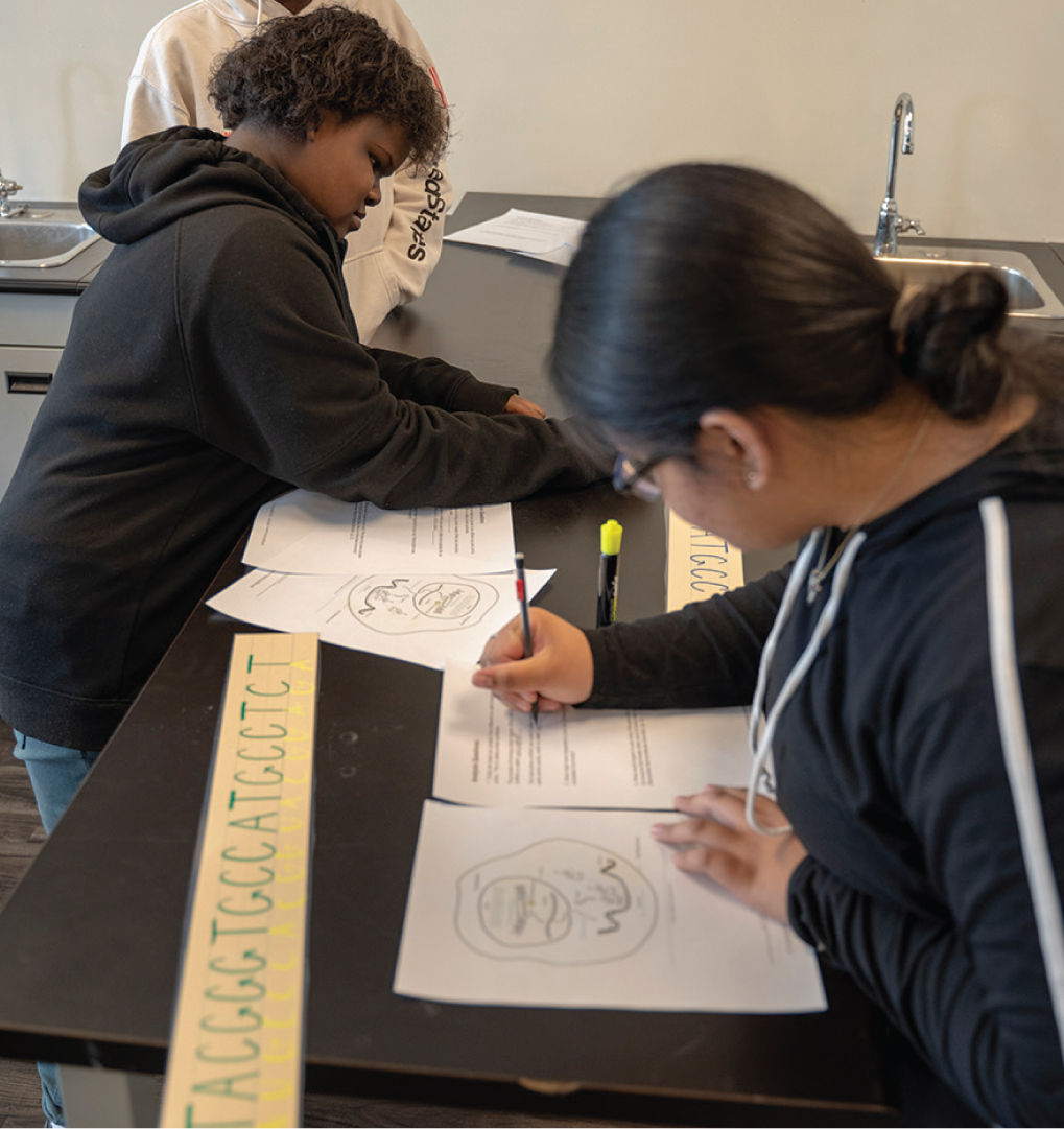 While completing the analysis questions for the How to Build a Car activity, students consider what would happen if transcription occurs incorrectly