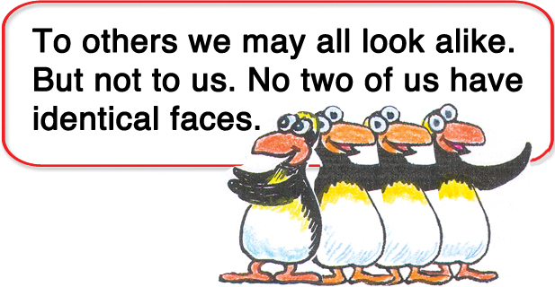 No two penguins are identical