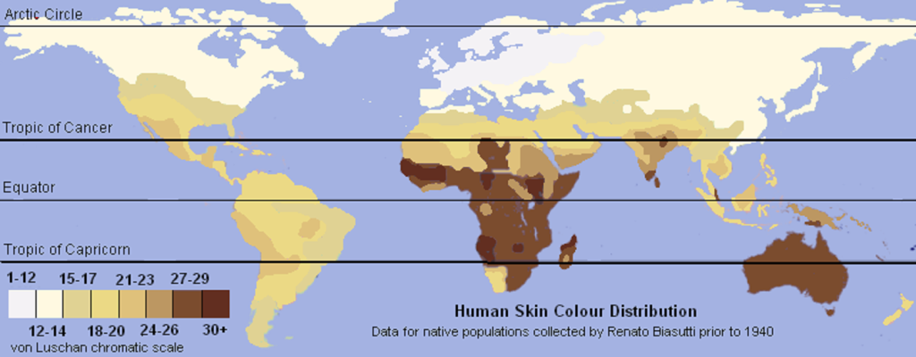 Human Skin Color Distribution