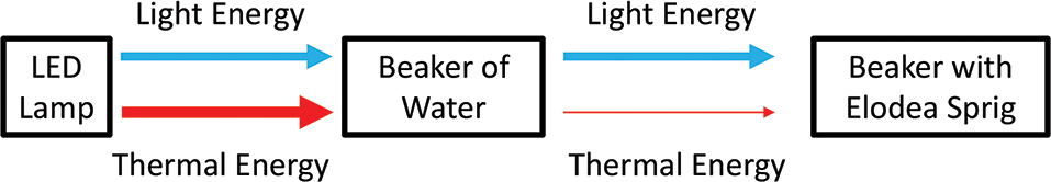 Diagram of photosynthesis experimental layout