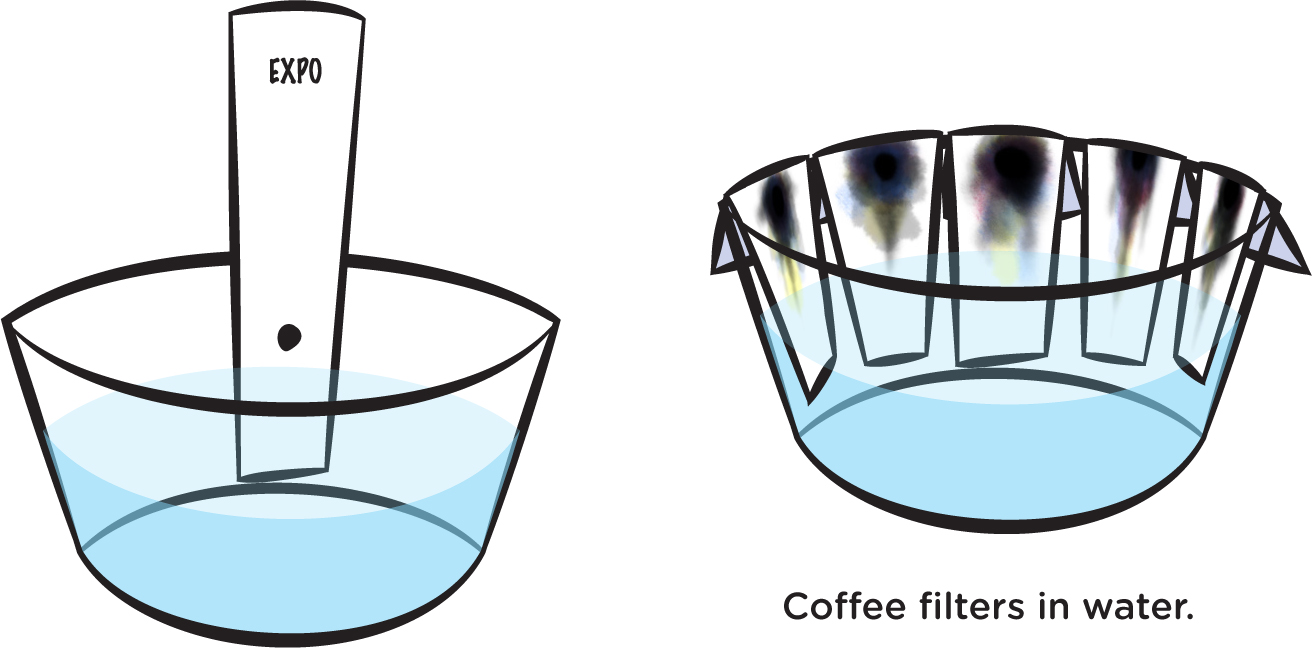 Coffee filters in water.