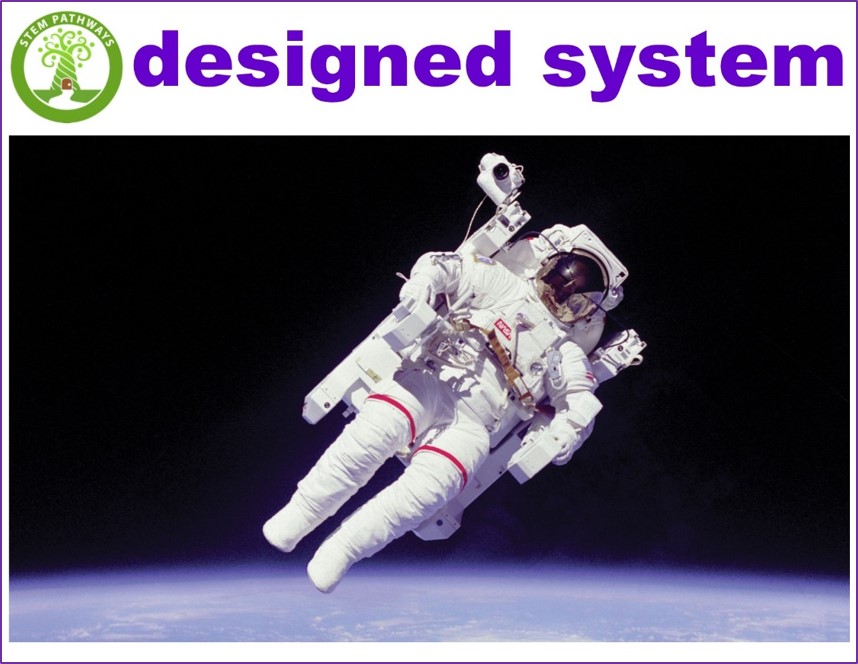 "Designed System" Vocabulary Card