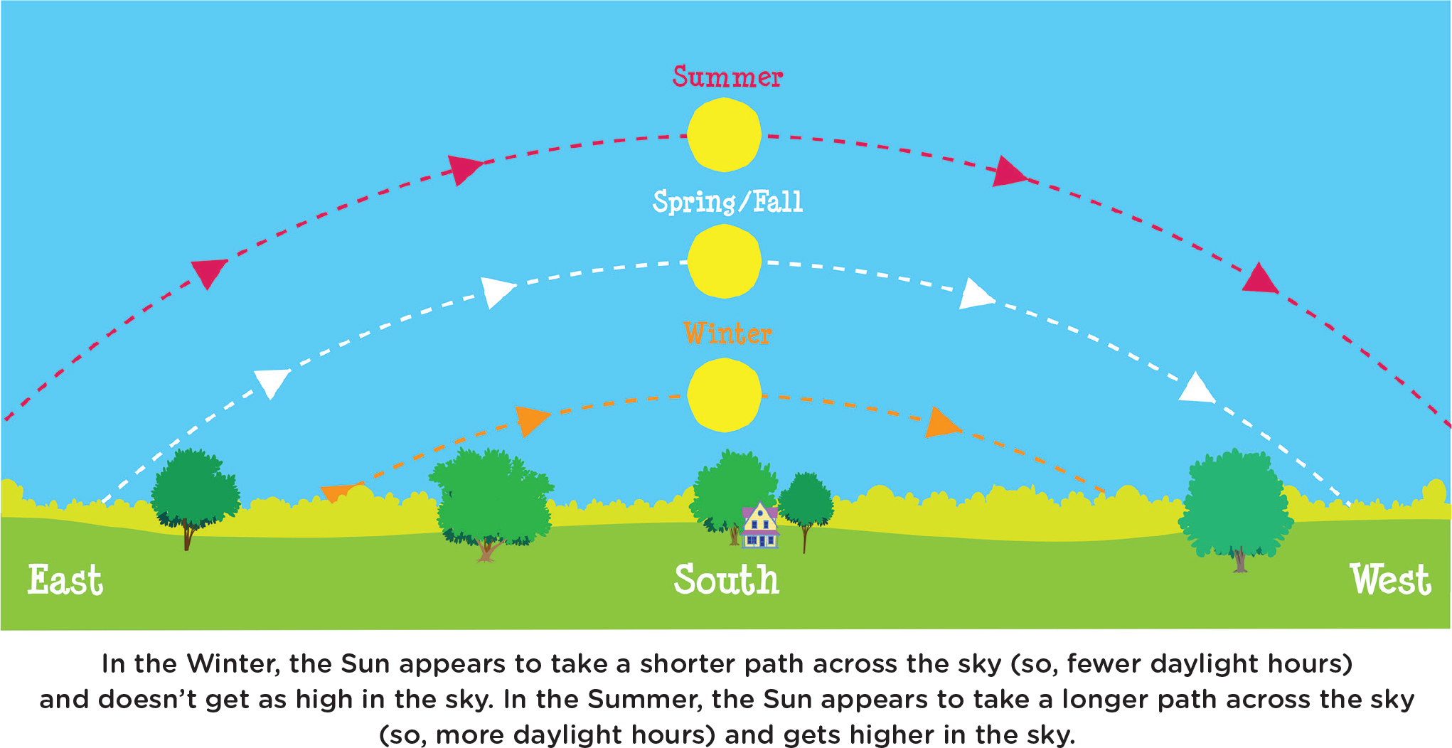 In the Winter, the Sun appears to take a shorter path across the sky (so, fewer daylight hours)  and doesn’t get as high in the sky. In the Summer, the Sun appears to take a longer path across the sky  (so, more daylight hours) and gets higher in the sky.