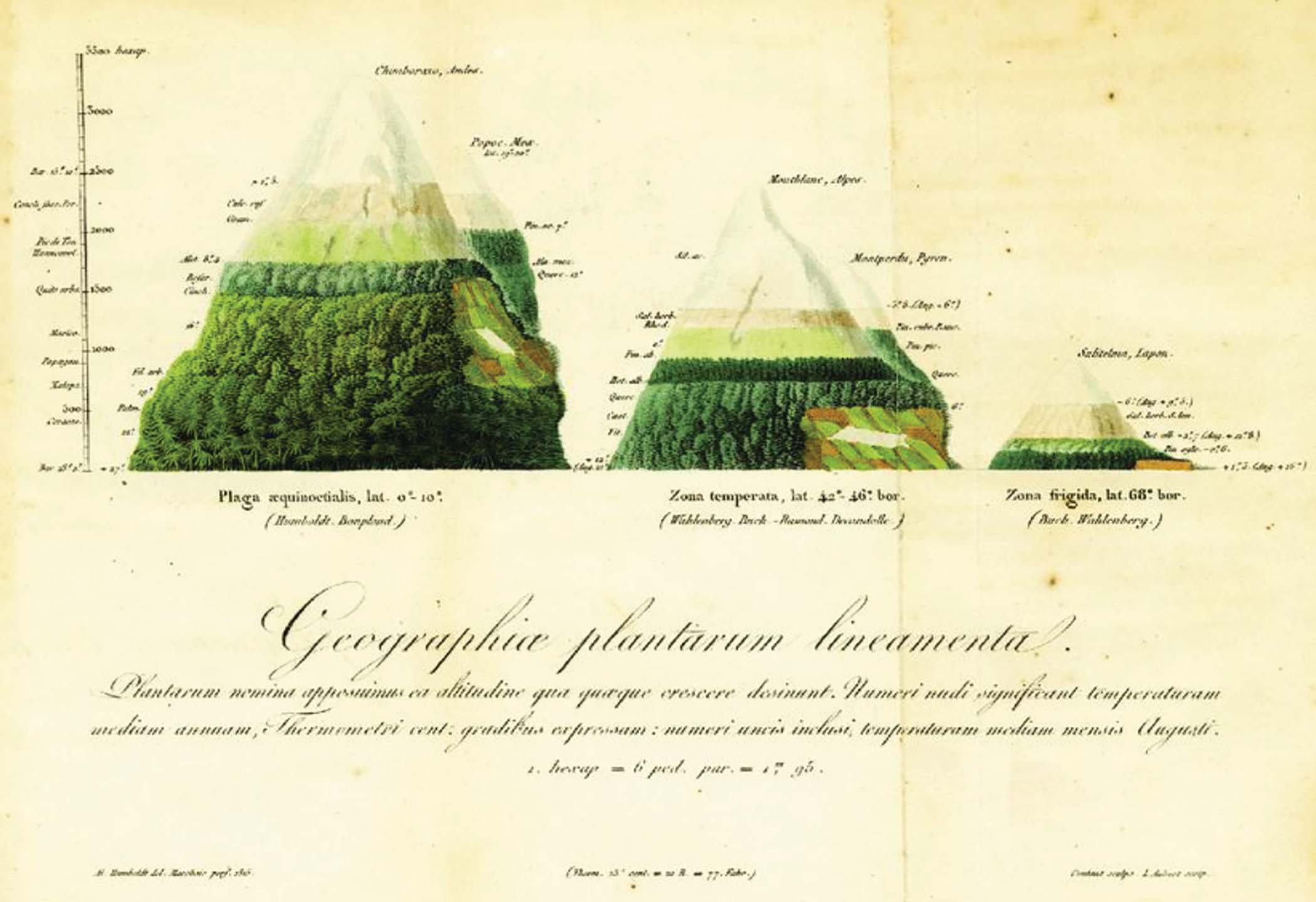  “Lines of the geography of plants,” from De distributione plantarum (On the Distribution of Plants) by Alexander von Humboldt, 1817. 
