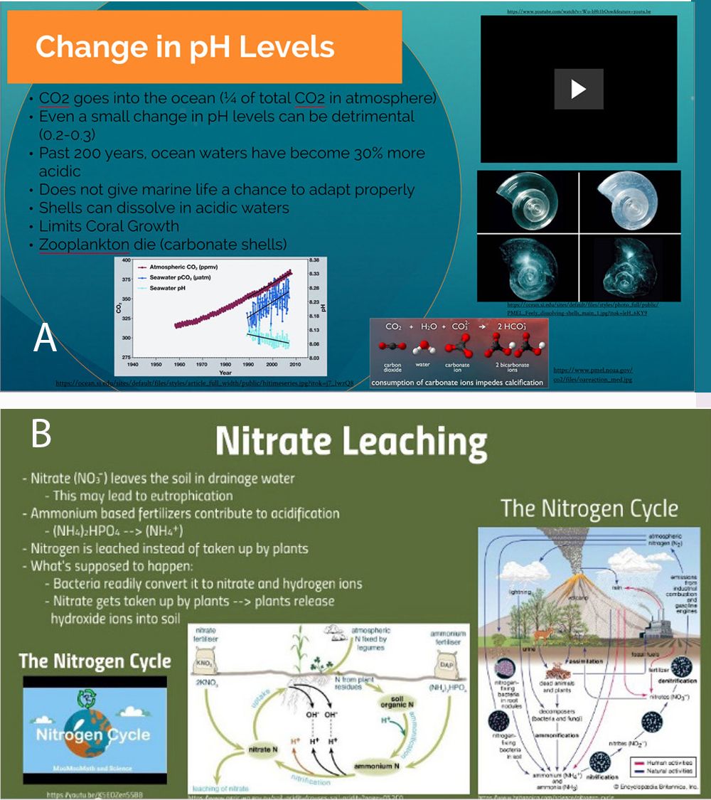 Sample Prezi learning module slides.                Note. (a) A slide from the Life Below Water (#14) Prezi learning module detailing how and why ocean pH is changing and its negative effects on ocean life. (b) A slide from the Zero Hunger (#2) Prezi learning module detailing how nitrate leaching and the nitrogen cycle are involved in soil acidification.
