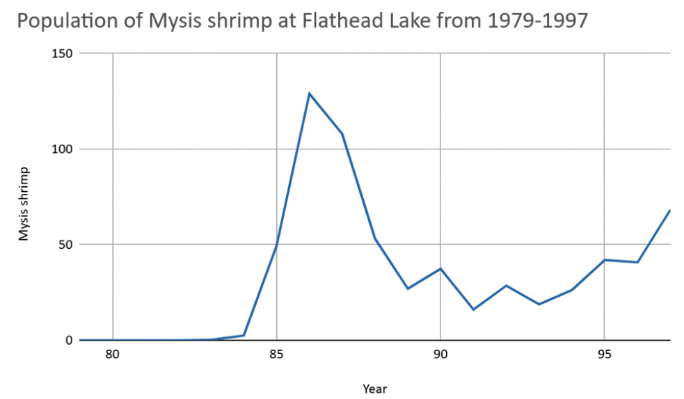Graph showing Mysis shrimp population.
