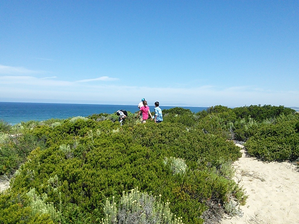 Students during an outdoor visit to the dune habitat.
