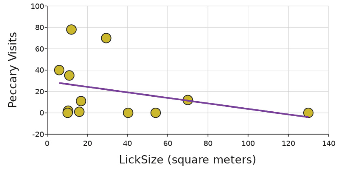 Example of comparing animal visits (lowland tapir and collared peccary) to lick size and how to consider uncertainty and variability when making sense of the patterns including linear regression line of fit (data from https://bit.ly/3uLiRns).