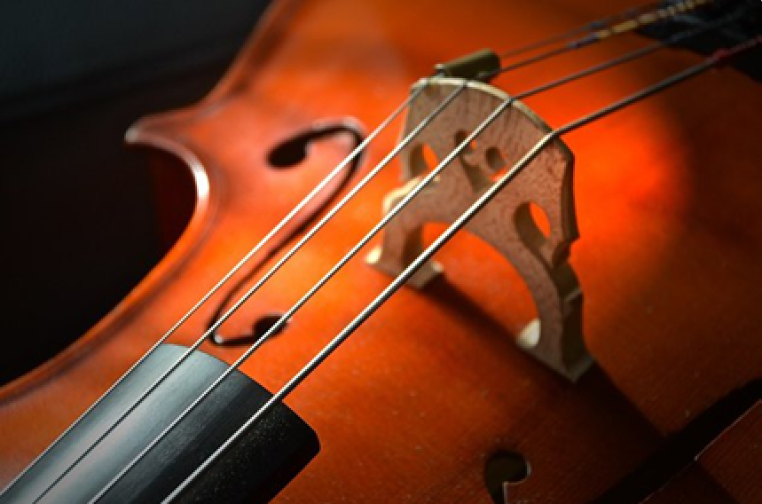 Closeup of violin