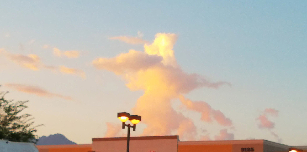 Figure 1 What do you see in this cloud formation? 