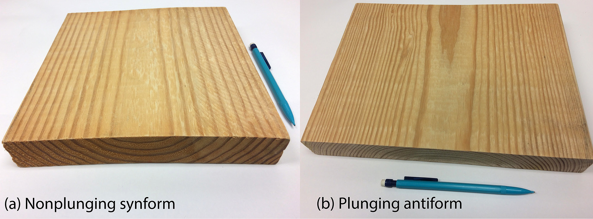 Figure 2 Images illustrating nonplunging syncline and plunging anticline. Note. (a) Growth rings form downward-closing folds called synforms. The two growth rings on either side of a fold hinge are parallel to form a nonplunging synforms. (b) Antiforms are produced where growth rings form upward-closing folds where the two growth rings are plunging to form a plunging antiform.