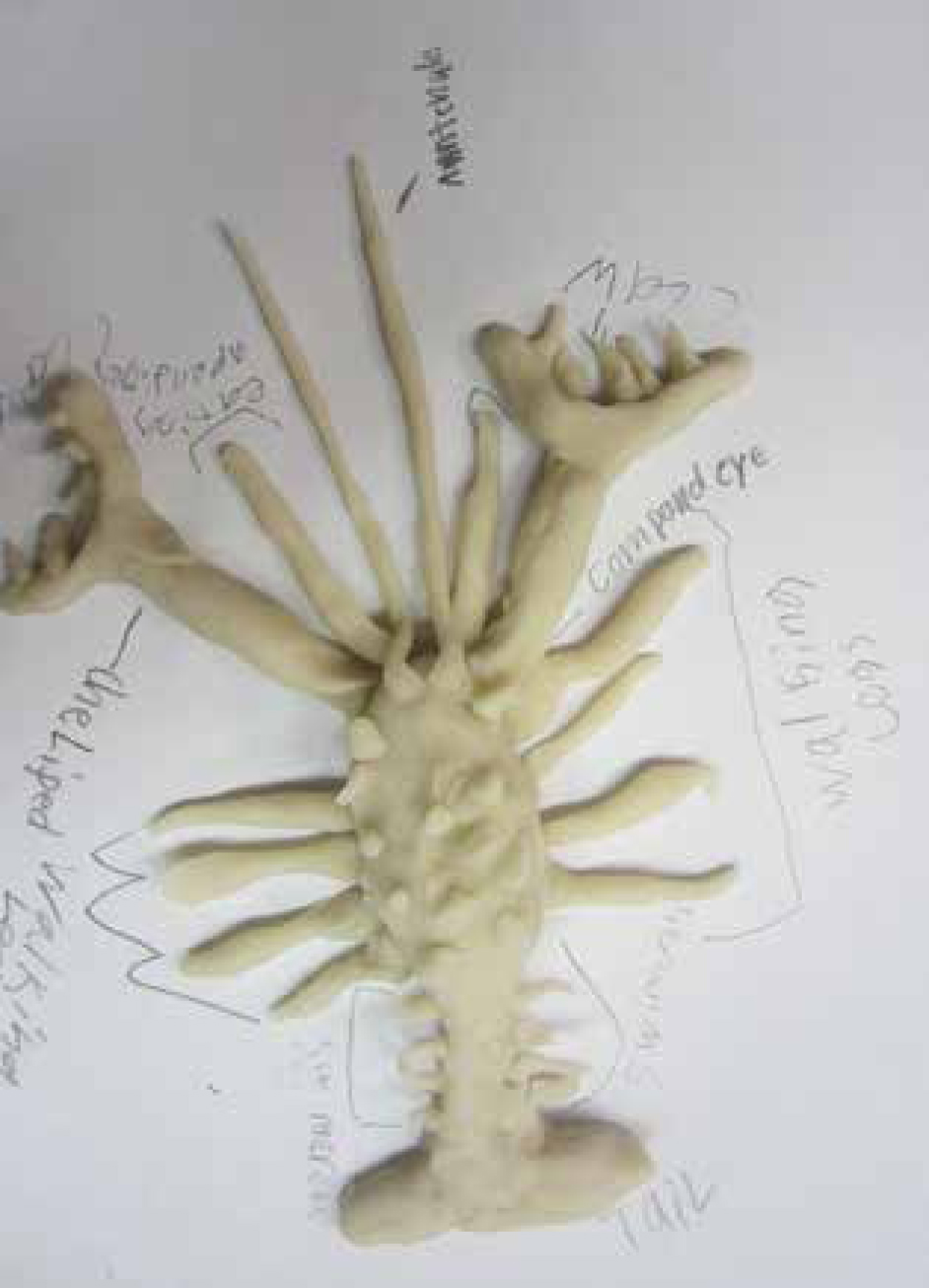 Model of crayfish with labels.