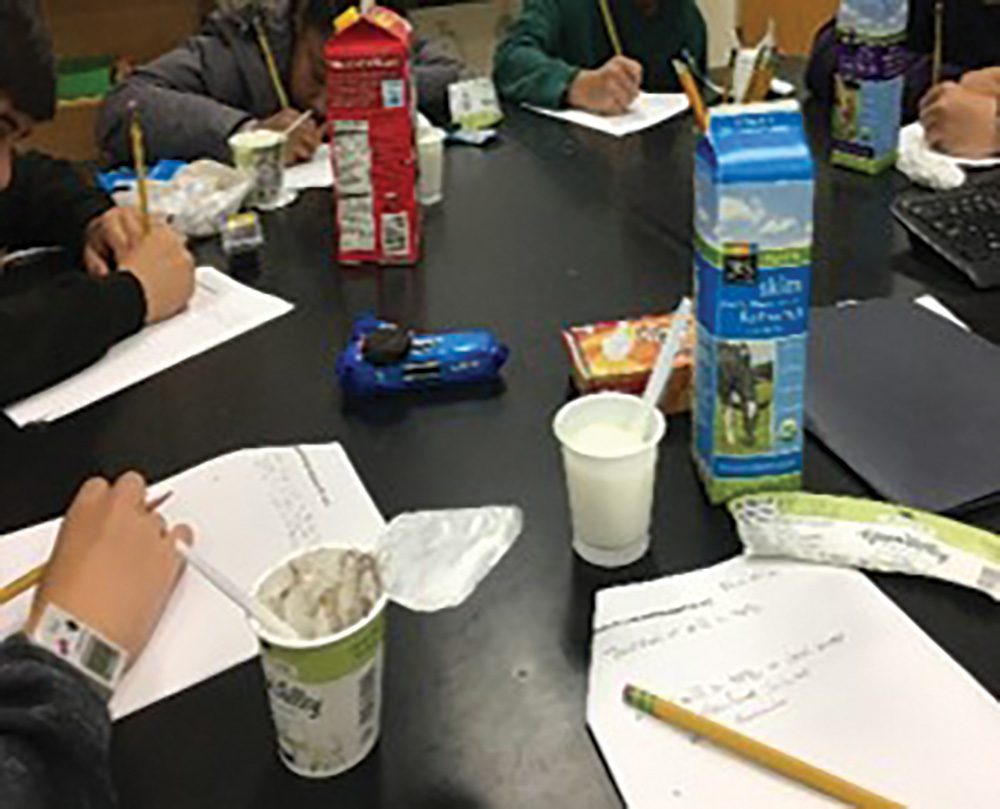 Students collectively work out a tentative procedure for yogurt production.